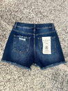 Risen High Rise Dark Shorts