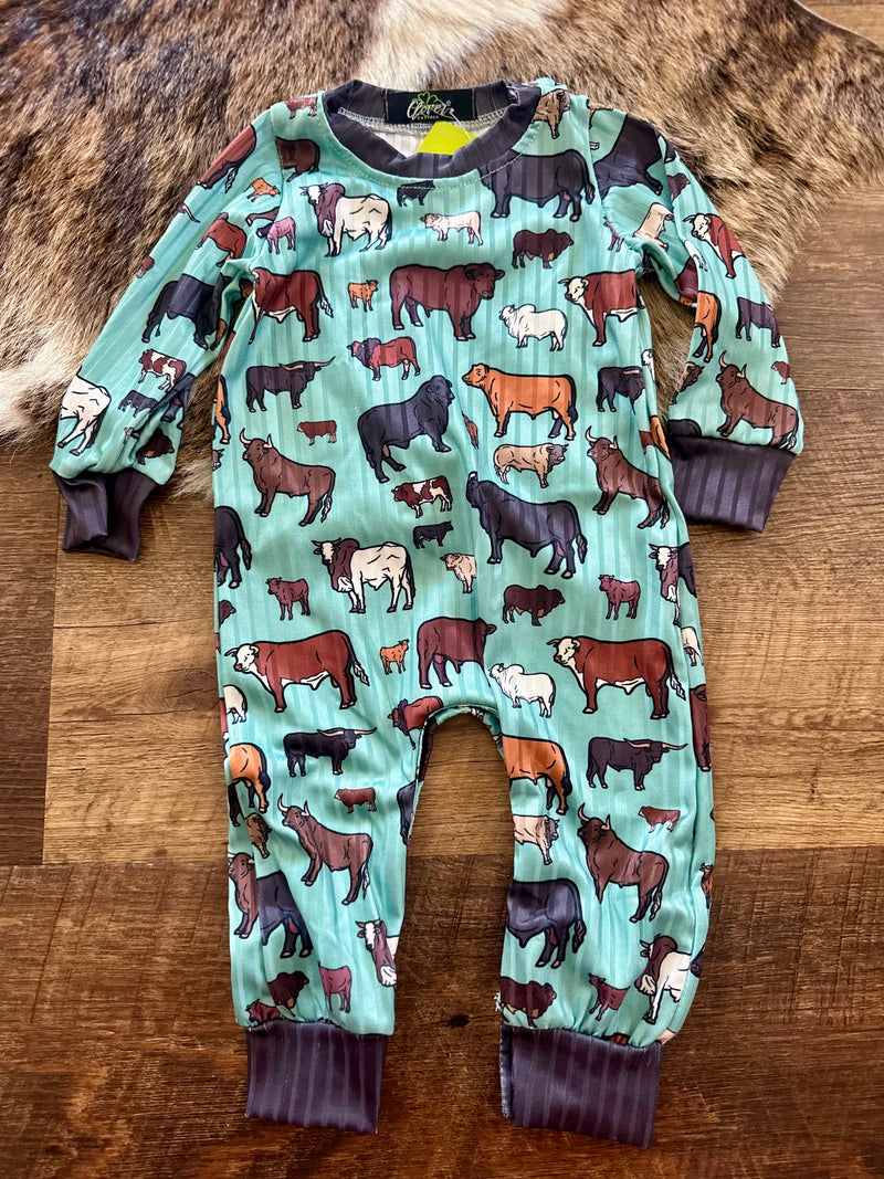 Boys Teal Cattle Boy Jumper