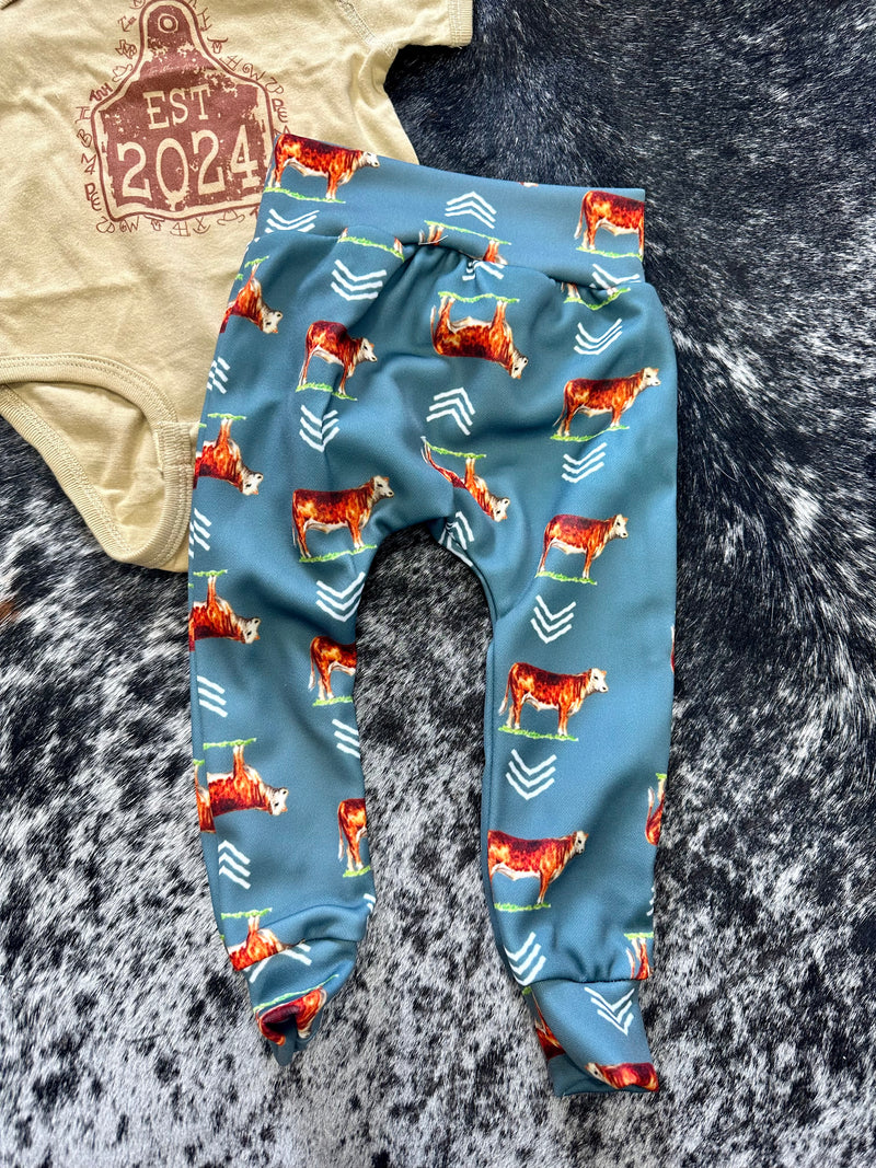 Baby Joggers - Hereford