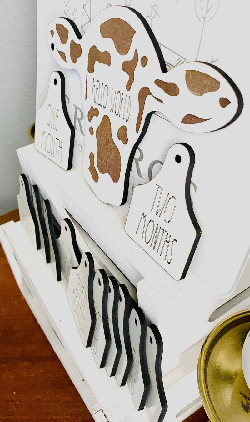 White Cow Baby Announcement & Monthly Milestone