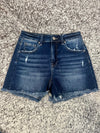 Risen High Rise Dark Shorts