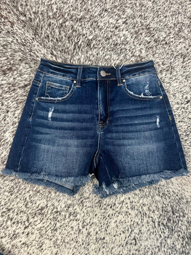 Risen High Rise Dark Shorts